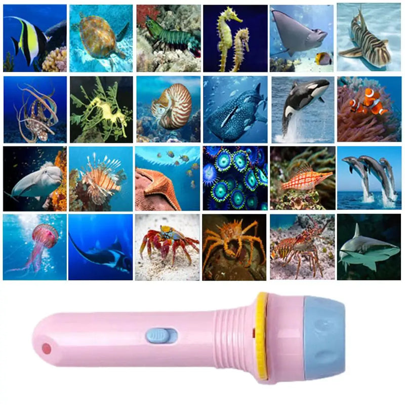 Kids Slide Projector Animal Fruit Cartoon Projection Flashlight Toy Educational Homeschool Early Education Projector