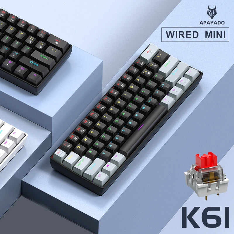 APAYADO Mini Mechanical Keyboard, 60% Portable Wired Mini Keyboard, 61 Keys Phantom RGB, Black, White, Red/Blue Switch