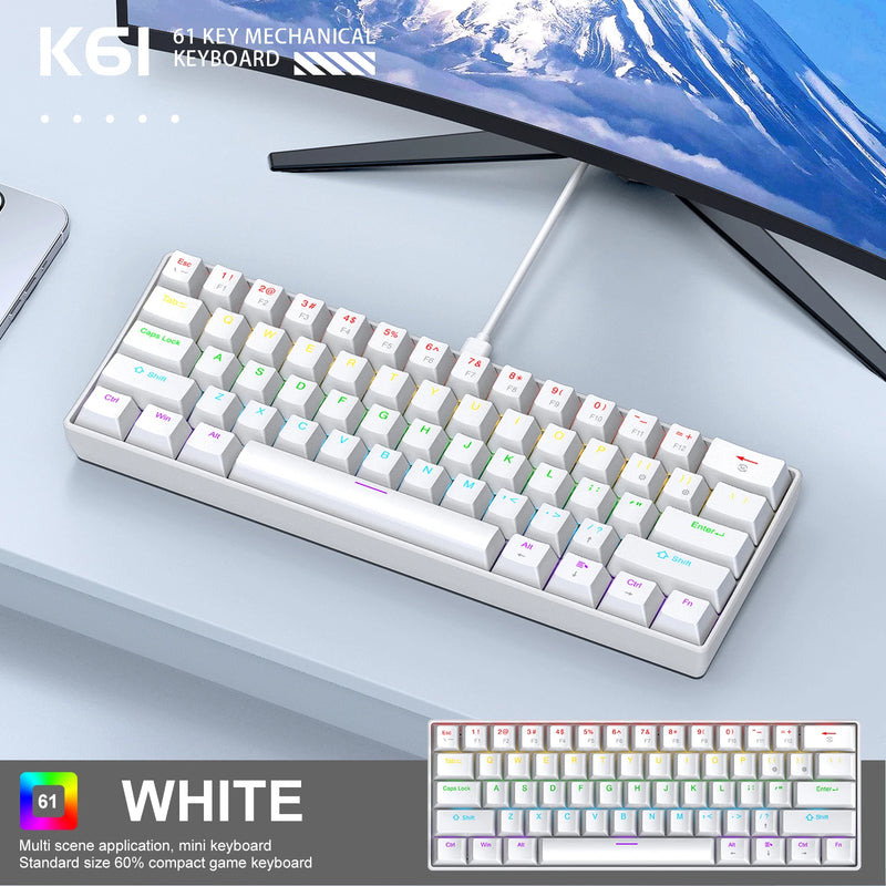 APAYADO Mini Mechanical Keyboard, 60% Portable Wired Mini Keyboard, 61 Keys Phantom RGB, Black, White, Red/Blue Switch