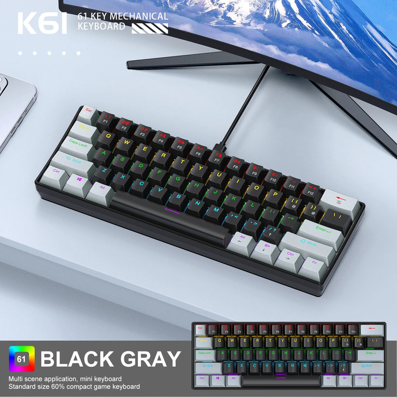 APAYADO Mini Mechanical Keyboard, 60% Portable Wired Mini Keyboard, 61 Keys Phantom RGB, Black, White, Red/Blue Switch